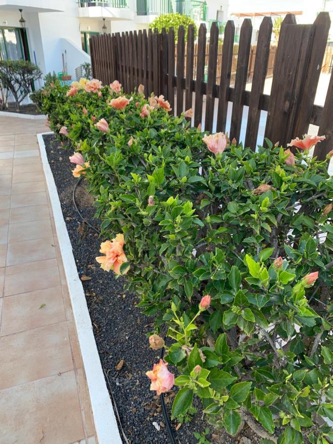 San Valentine Apartment คอร์ราเลโฮ ภายนอก รูปภาพ